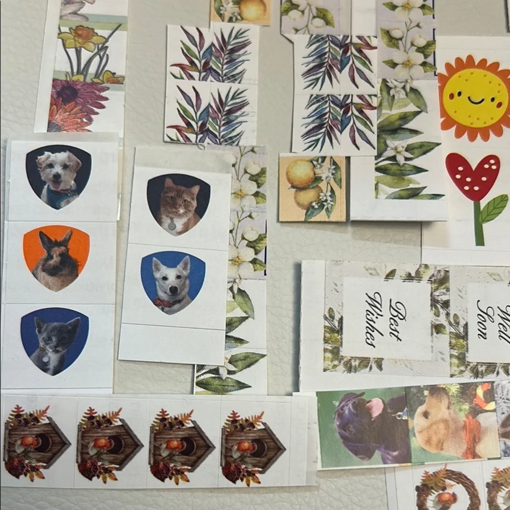 Colorful Sticker Collection - Picture 7 of 8